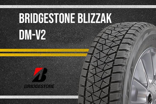 Bridgestone Blizzak Dm V2